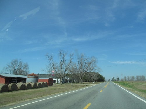 A rural road lined with bare trees and hay bales, with a blue sky and distant buildings on the side.