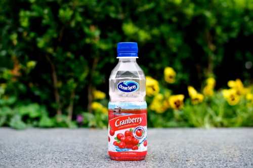 A bottle of Ocean Spray Cranberry juice stands on a surface with colorful flowers and greenery in the background.