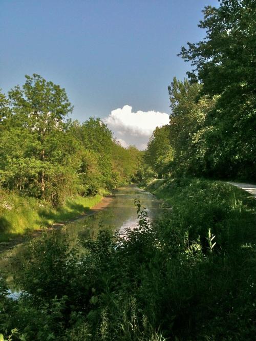 A serene river flows through lush greenery under a clear blue sky, with trees lining the banks.