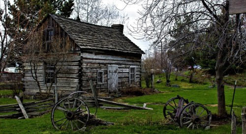 A weathered wooden cabin surrounded by overgrown grass and old wagon wheels, set against a cloudy sky.