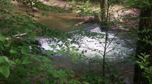 A serene creek flows through a lush green forest, with gentle ripples and a small waterfall visible among the trees.
