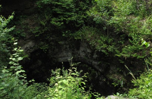 A dense, green forest surrounds a dark, rocky opening, suggesting a cave or deep crevice in the landscape.