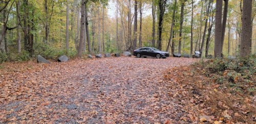 A car parked on a gravel path surrounded by trees with autumn leaves scattered on the ground.