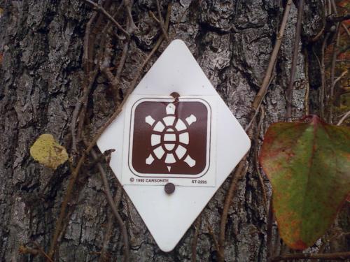 A turtle warning sign attached to a tree trunk, featuring a brown turtle icon on a white diamond background.