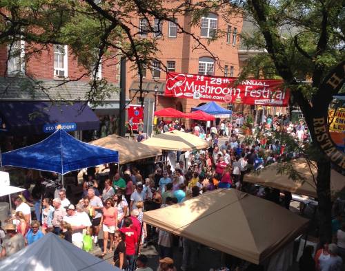 A bustling outdoor festival with tents and a large banner reading "28th Annual Mushroom Festival," filled with people.