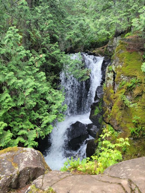 A serene waterfall cascades through lush green foliage and rocky terrain, surrounded by vibrant trees.