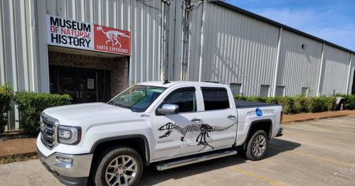 A white pickup truck with a dinosaur skeleton graphic parked outside the Museum of Natural History.