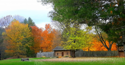 A rustic log cabin surrounded by vibrant autumn trees in shades of orange, yellow, and green.