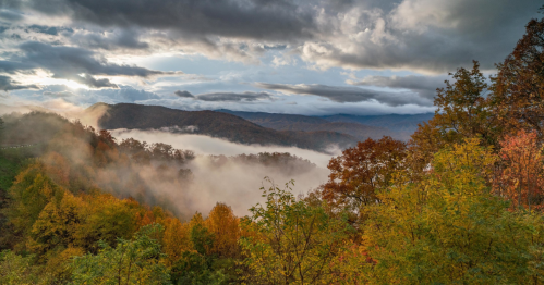 A misty mountain landscape with colorful autumn trees under a cloudy sky.