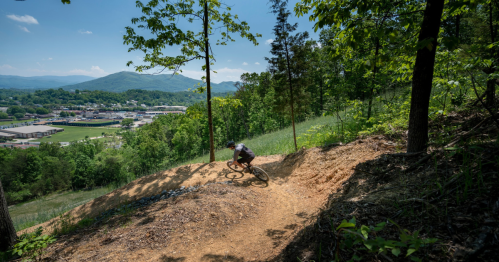 A mountain biker navigates a dirt trail surrounded by trees and mountains on a sunny day.
