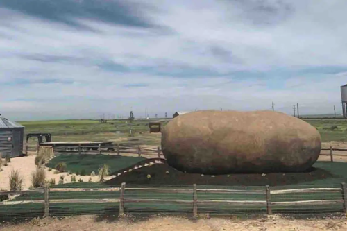 A large, potato-shaped sculpture in a rural landscape, surrounded by a wooden fence and green grass under a cloudy sky.