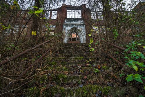 Overgrown stone steps lead to a dilapidated building entrance, framed by vines and foliage.