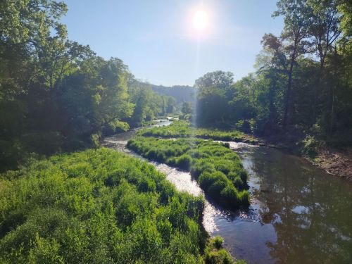 A serene river winding through lush green vegetation under a bright sun in a clear blue sky.