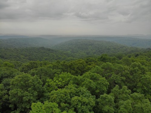 A panoramic view of lush green hills under a cloudy sky, showcasing a dense forest landscape.