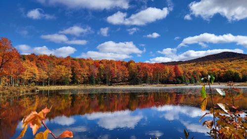 Vibrant autumn foliage reflects in a calm lake under a blue sky with fluffy clouds.