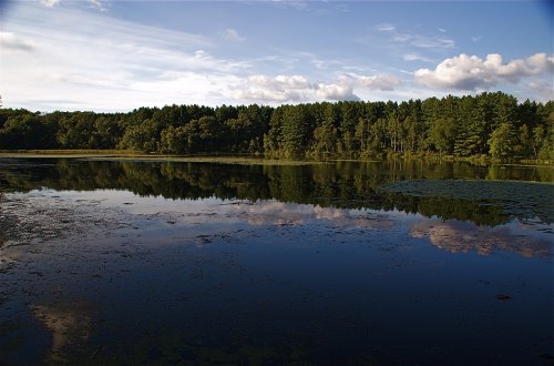 A serene lake reflecting trees and clouds under a blue sky, surrounded by lush greenery.