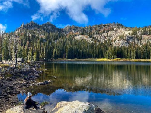 A person sits by a serene lake, surrounded by mountains and lush evergreen trees under a blue sky with clouds.