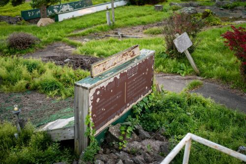 A weathered sign in a grassy area, surrounded by overgrown vegetation and remnants of a neglected landscape.