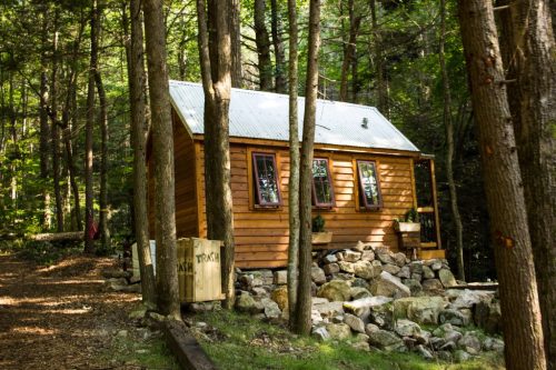 A small wooden cabin nestled among trees, with a stone foundation and a porch, surrounded by a lush forest.