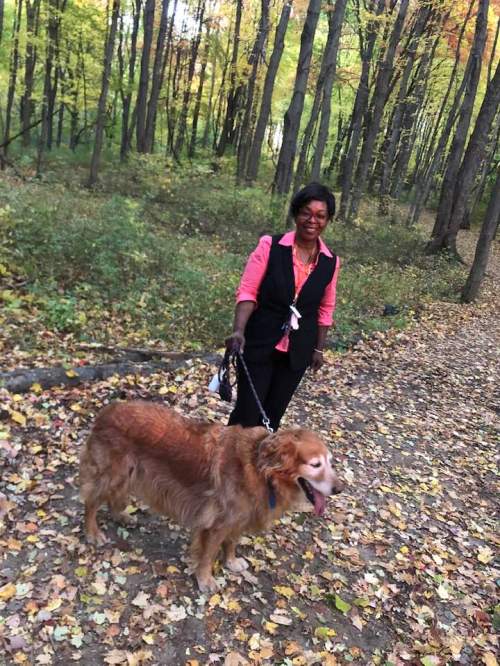 A woman in a pink shirt and black vest walks a golden retriever in a colorful autumn forest.