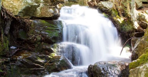 A serene waterfall cascading over moss-covered rocks in a lush, green forest.