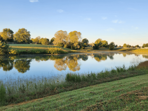 A serene pond reflecting trees and blue sky, surrounded by lush green grass and a peaceful landscape.