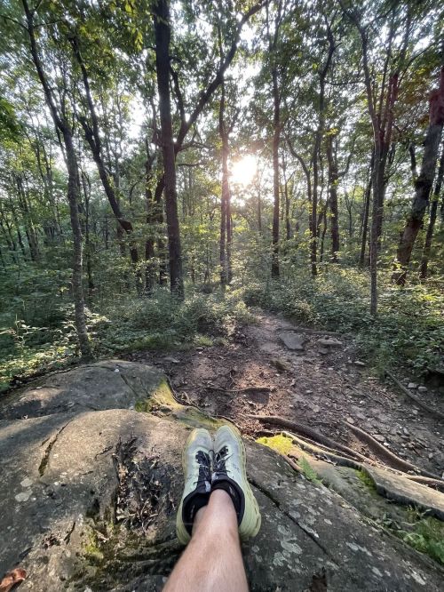 A hiker's foot in a sneaker rests on a rock, surrounded by trees and sunlight filtering through the forest.