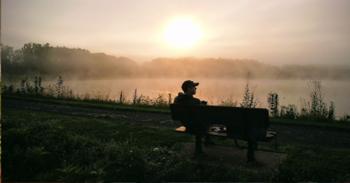 A person sits on a bench by a misty lake at sunrise, surrounded by trees and soft fog.