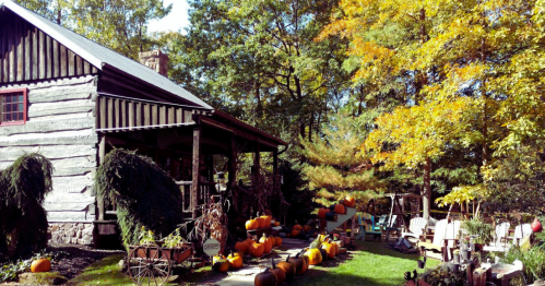 A rustic log cabin surrounded by colorful autumn trees and pumpkins scattered in the yard.