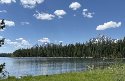 A serene lake surrounded by lush greenery and mountains under a clear blue sky with fluffy white clouds.