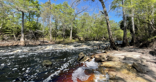 A serene river scene with flowing water, surrounded by lush green trees and rocky banks under a clear blue sky.