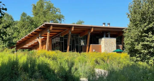 A modern wooden building with large windows, surrounded by greenery and wildflowers under a clear blue sky.