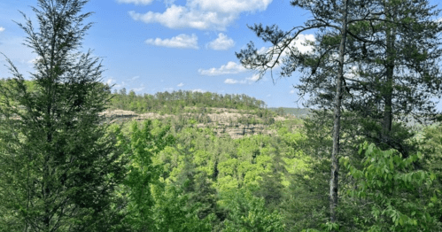 Lush green landscape with rocky cliffs under a blue sky dotted with clouds, framed by tall trees.
