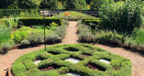 A beautifully landscaped garden with a patterned hedge design and a brick pathway surrounded by greenery.