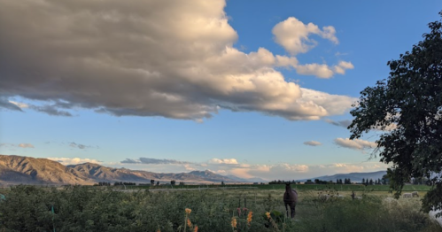 A person stands in a field under a blue sky with clouds, mountains in the background, and greenery in the foreground.