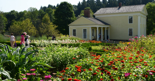 A vibrant garden filled with colorful flowers, with a yellow house in the background and people enjoying the scenery.