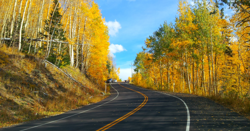 A winding road surrounded by vibrant autumn trees with golden leaves under a clear blue sky.