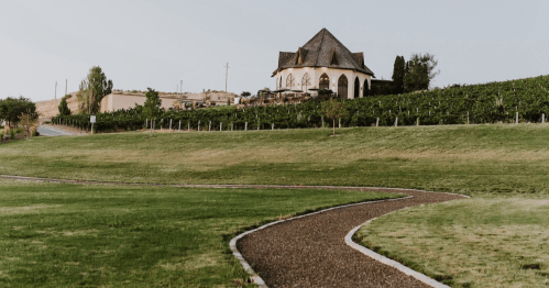 A winding path leads to a charming house surrounded by lush vineyards and rolling green hills.