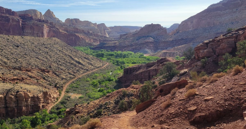A scenic view of a canyon with rocky cliffs, a winding path, and lush greenery in the valley below.