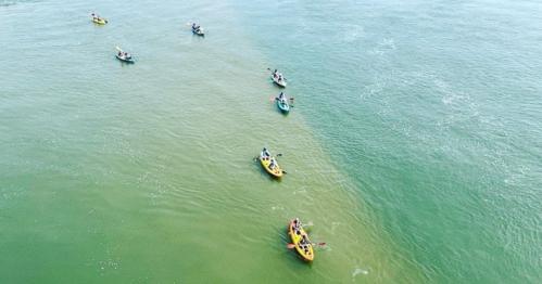 Aerial view of several kayakers paddling in a calm, greenish-blue river.