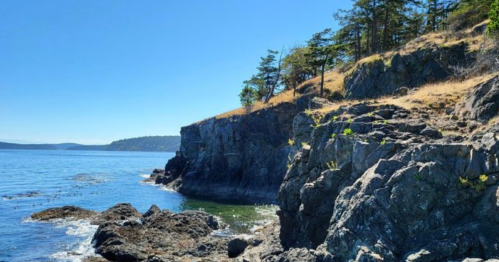 Rocky coastline under a clear blue sky, with sparse trees and calm water in the background.