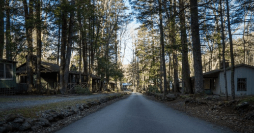 A quiet, tree-lined road flanked by rustic cabins in a serene forest setting.