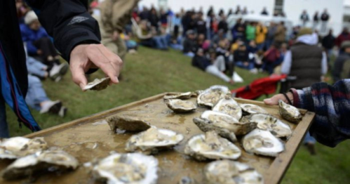 A person holds an oyster while another offers a tray of oysters to a crowd seated on a grassy hill.