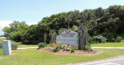 Sign for Jockey's Ridge State Park surrounded by greenery and shrubs on a sunny day.
