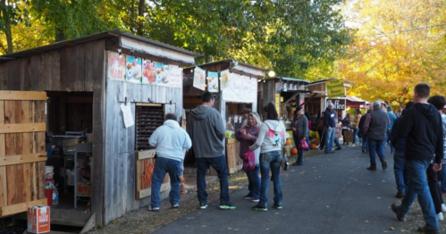 A bustling outdoor market with wooden stalls, people browsing, and autumn foliage in the background.