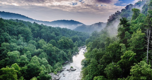 A serene river flows through lush green forests and misty mountains under a cloudy sky.