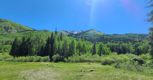 Lush green landscape with mountains in the background under a clear blue sky.