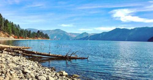 A serene lake surrounded by mountains and trees, with logs and pebbles along the shore under a clear blue sky.