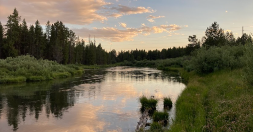 A serene river reflects the sky at sunset, surrounded by lush greenery and tall trees.