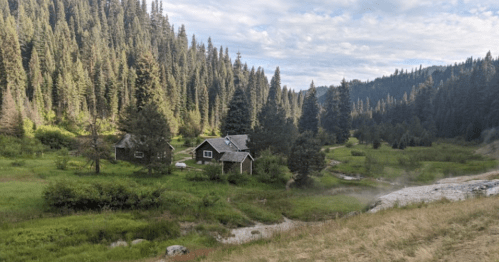 A serene landscape featuring a small house surrounded by lush greenery and tall trees under a cloudy sky.